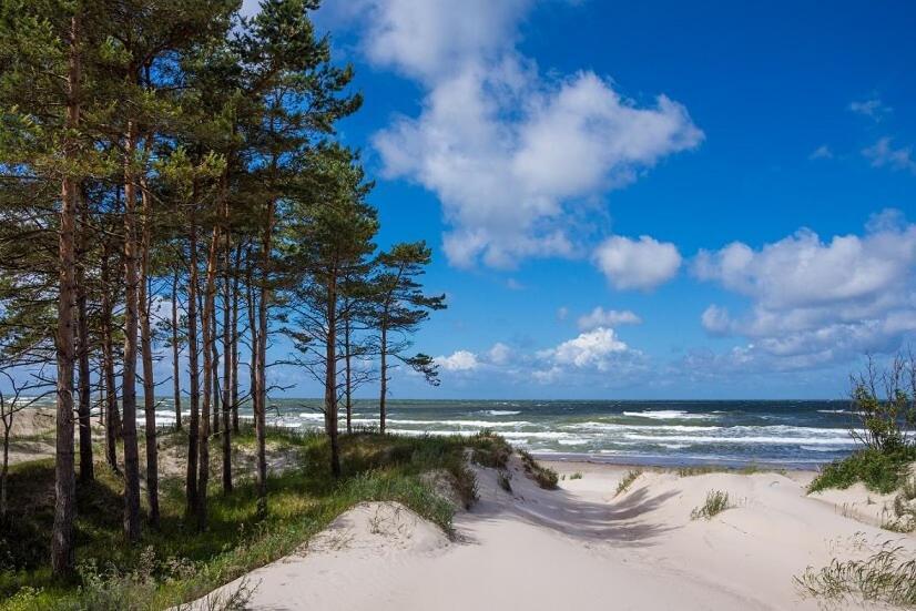 Apartamenty Przy Plazy - Willa For You Pobierowo Eksteriør billede